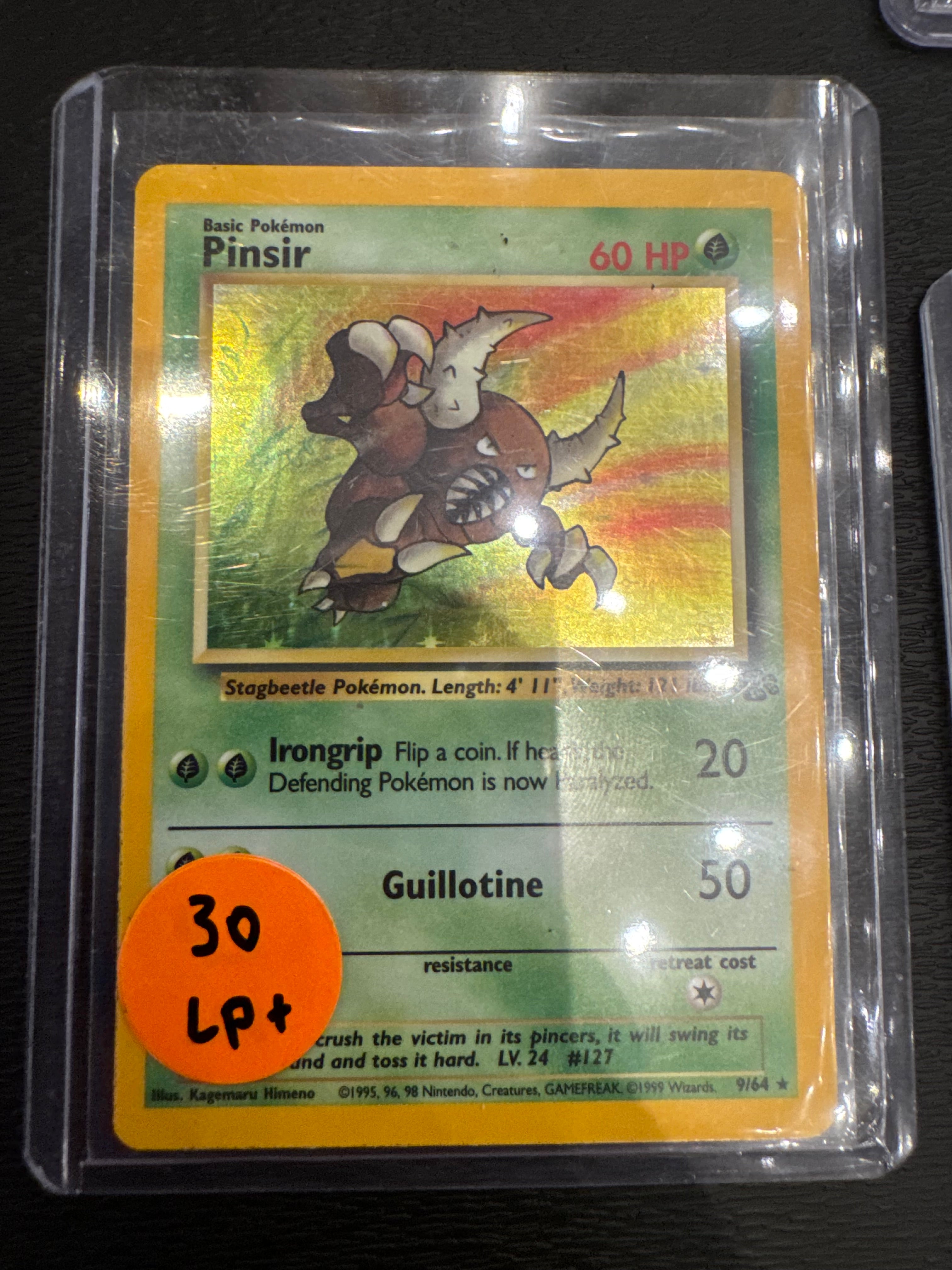 Pinsir jungle lp+