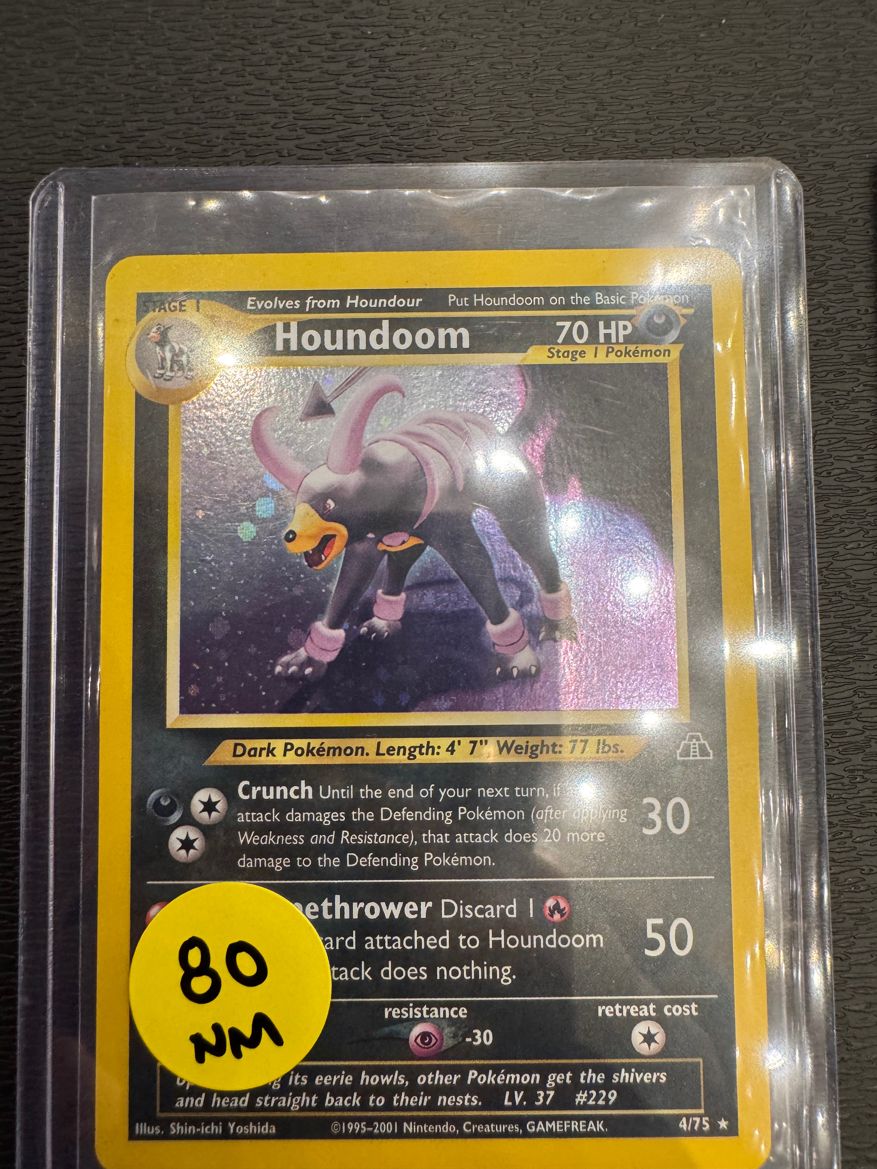 Houndoom nm