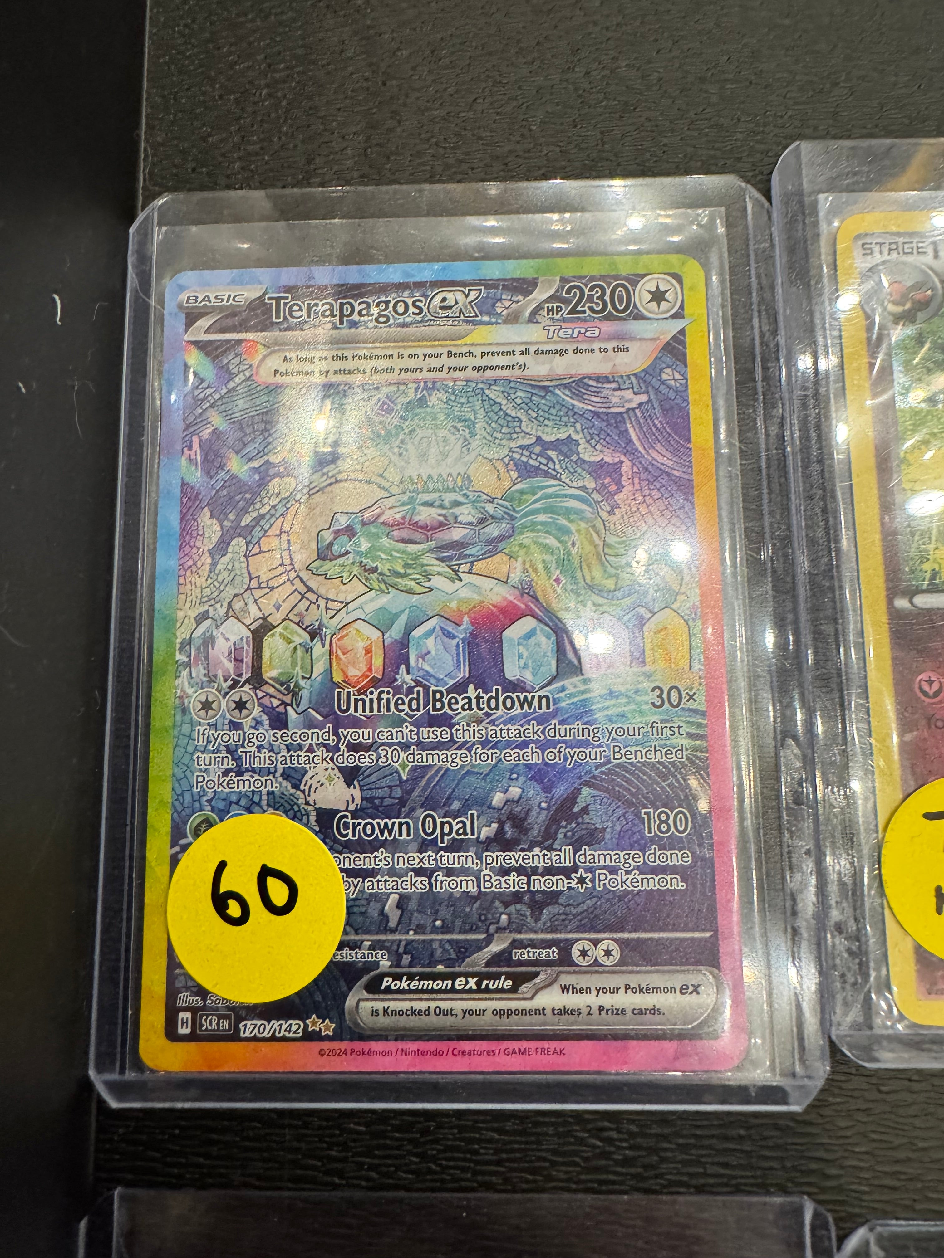Terapagos EX nm