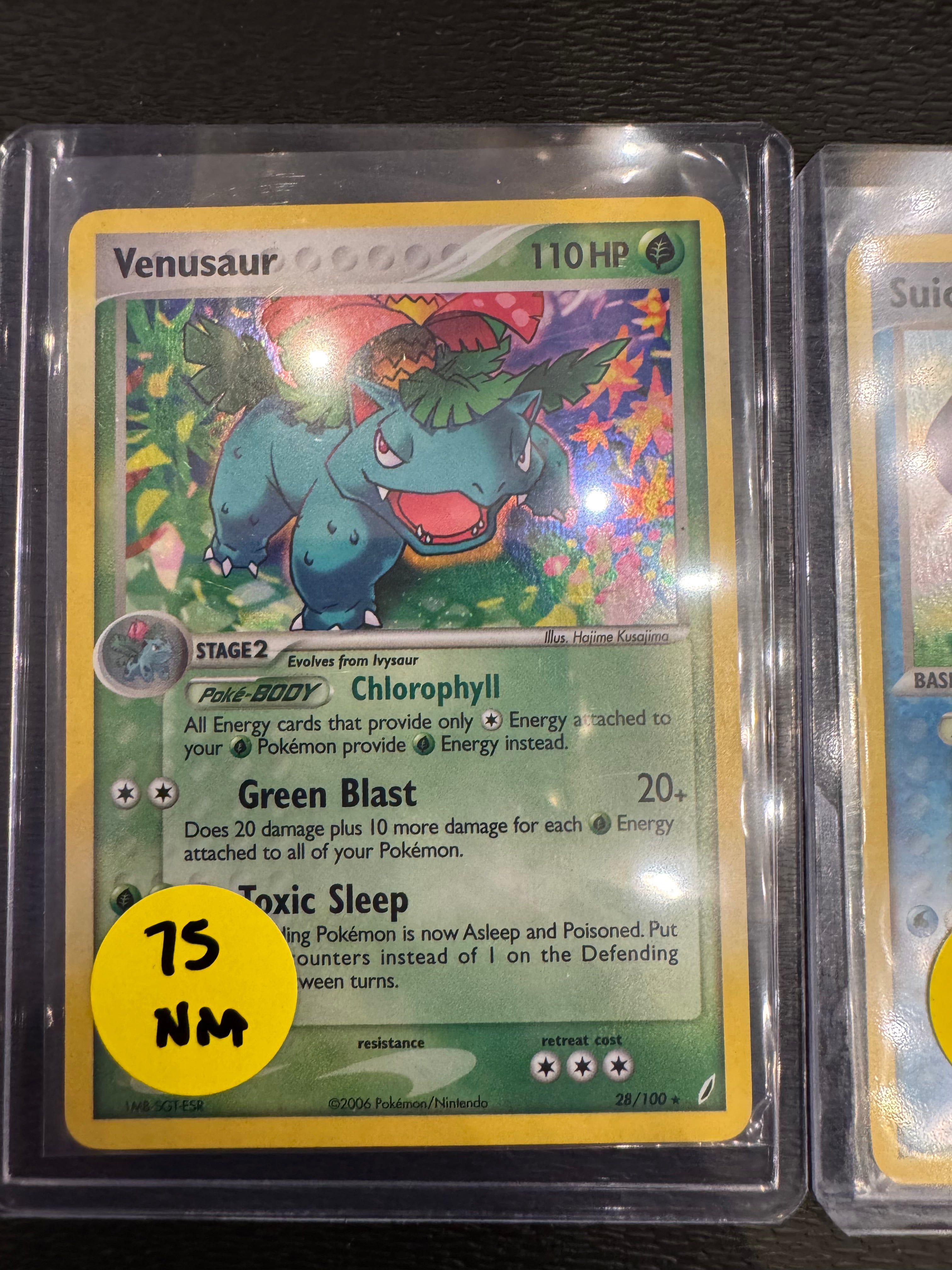 Venusaur nm