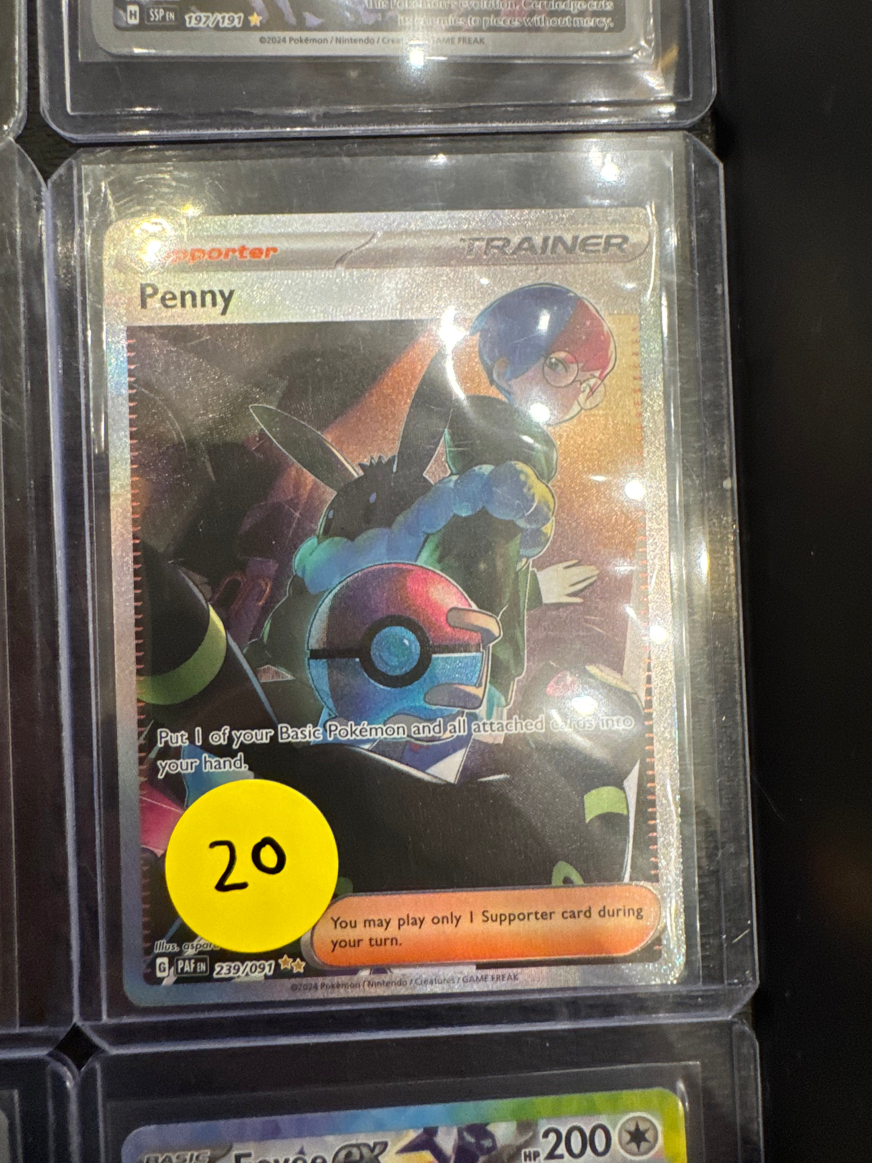 Penny SIR nm