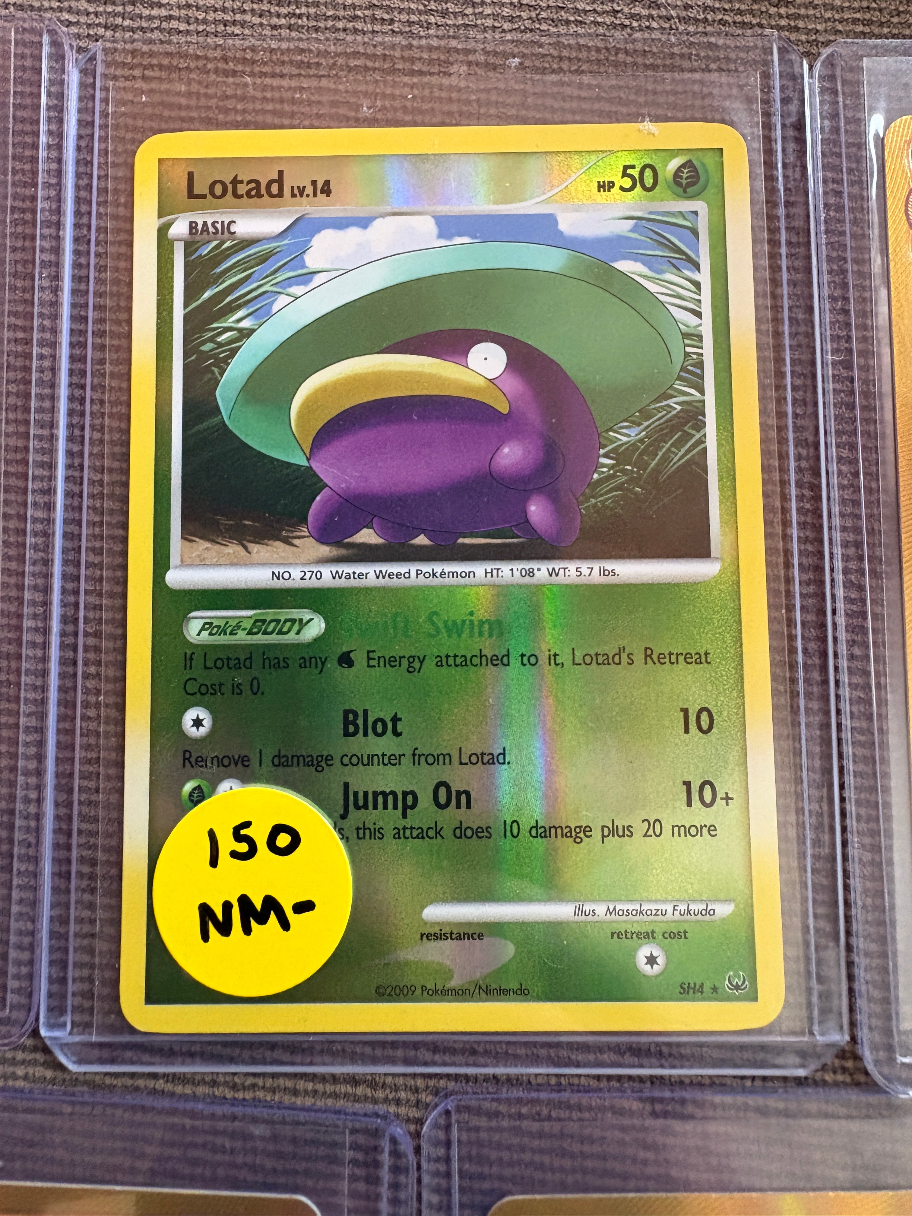 Lotad SH Shiny Reverse Holo NM-